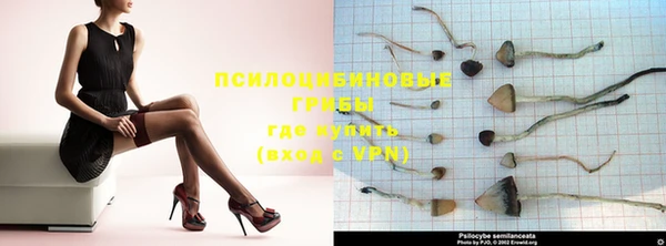 молекула духа Михайловка