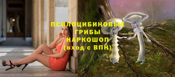 молекула духа Михайловка