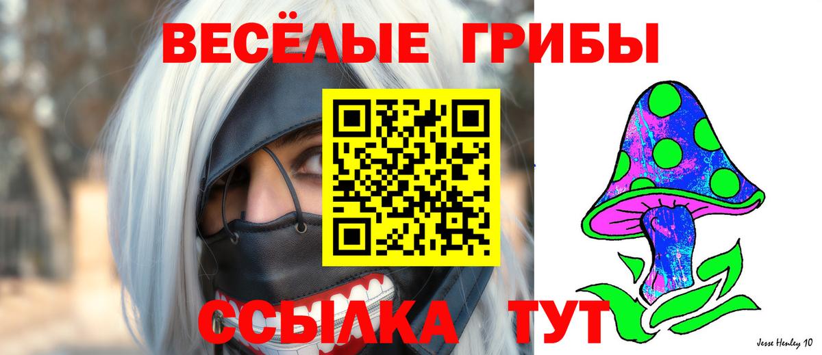Ртищево  Галлюциногенные грибы Psilocybe  магазин  наркотиков  Псилоцибиновые грибы Psilocybe  Вход с VPN 